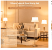 3 Piece Lamp with Set Modern Floor Lamp and 2 Table Lamps