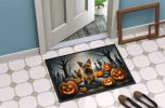Norwich Terrier Spooky Halloween Doormat Front Door Mat Indoor Outdoor Rugs for Entryway, Non Slip Washable Low Pile, 24H X 36W