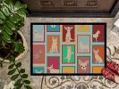 Lots of Chihuahua Doormat Front Door Mat Indoor Outdoor Rugs for Entryway, Non Slip Washable Low Pile, 24H X 36W